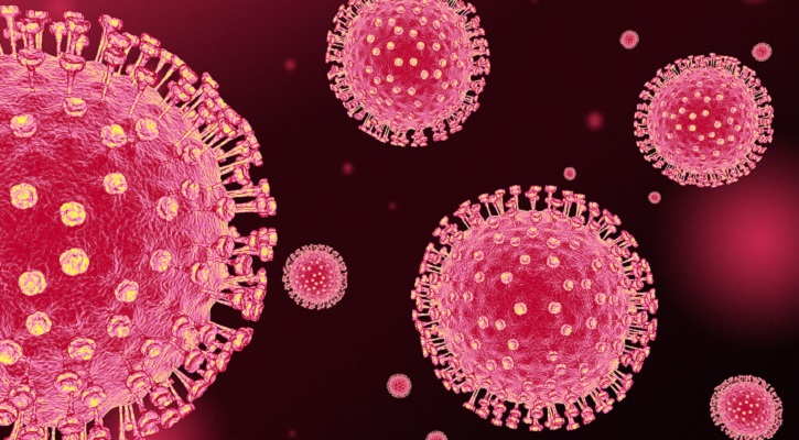 coronavirus, covid19
